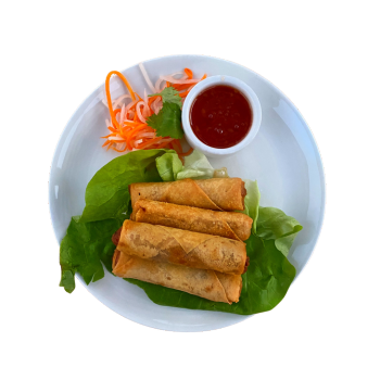 untitled (350 x 350 px) (2)